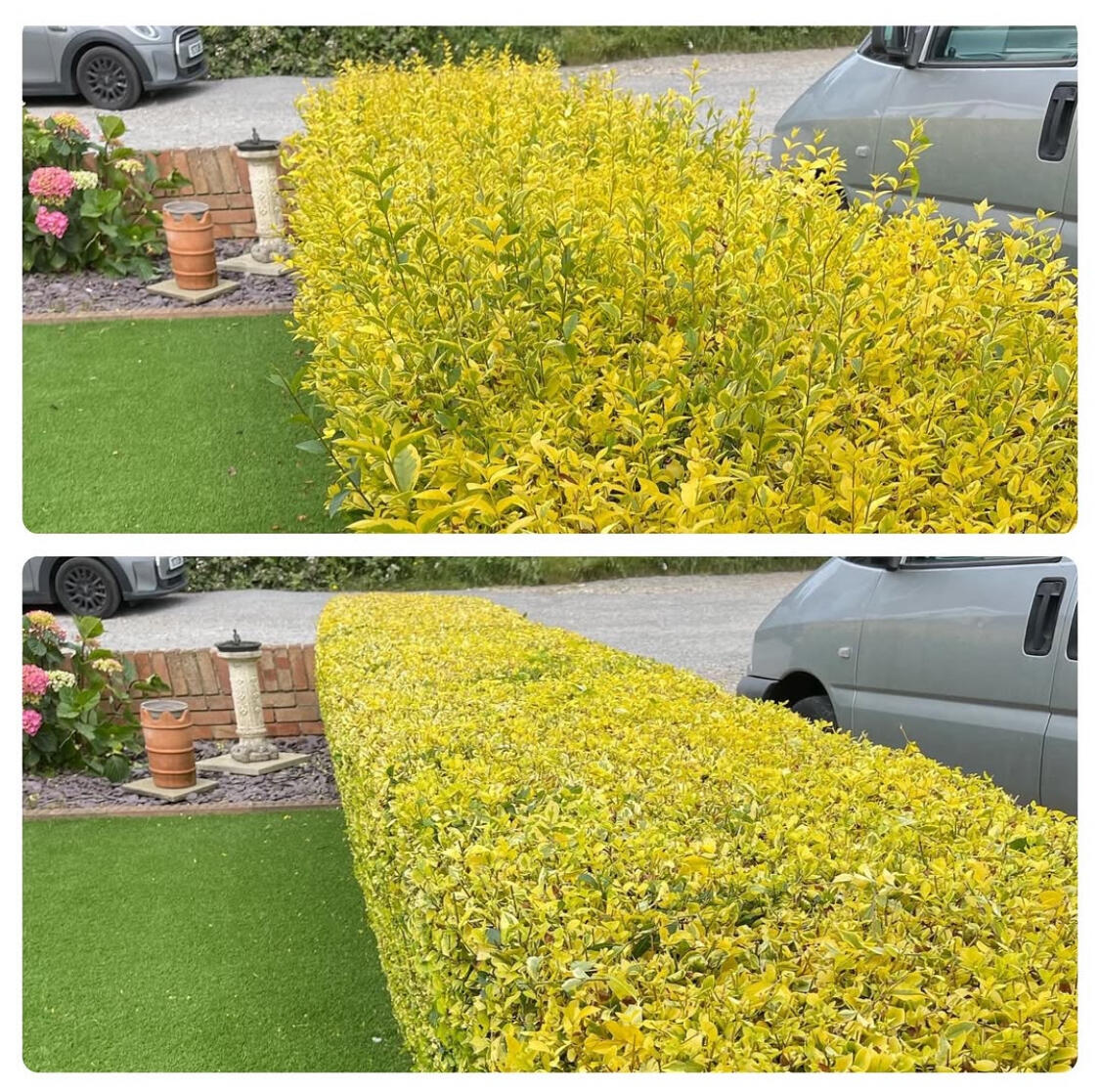 Hedge Trimming Peacehaven